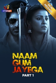 Naam Gum Jayega (2024) S01 Part 1 Web Series Download (2024)