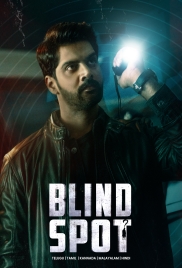 Blind Spot (2025) Hindi Dubbed Movie HDRip Download (2025)