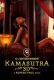 Kamasutra 3D (2013) Hindi HDRip Movie